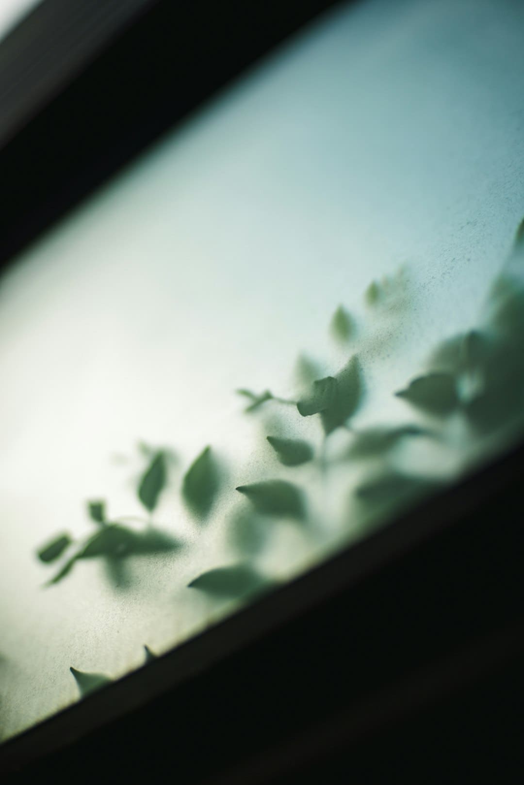 成都车展欧拉以浪漫致初心